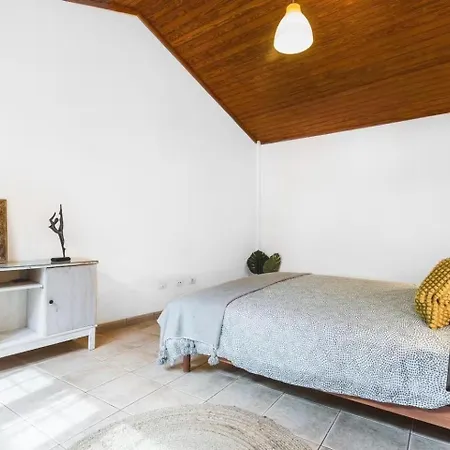 Casa Canaria Moderna * Инхенио