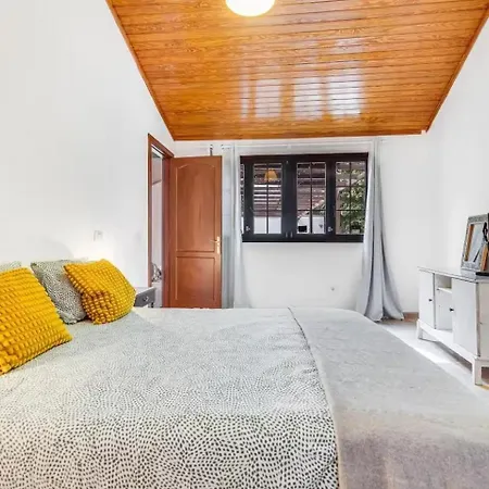 Casa Canaria Moderna Ingenio